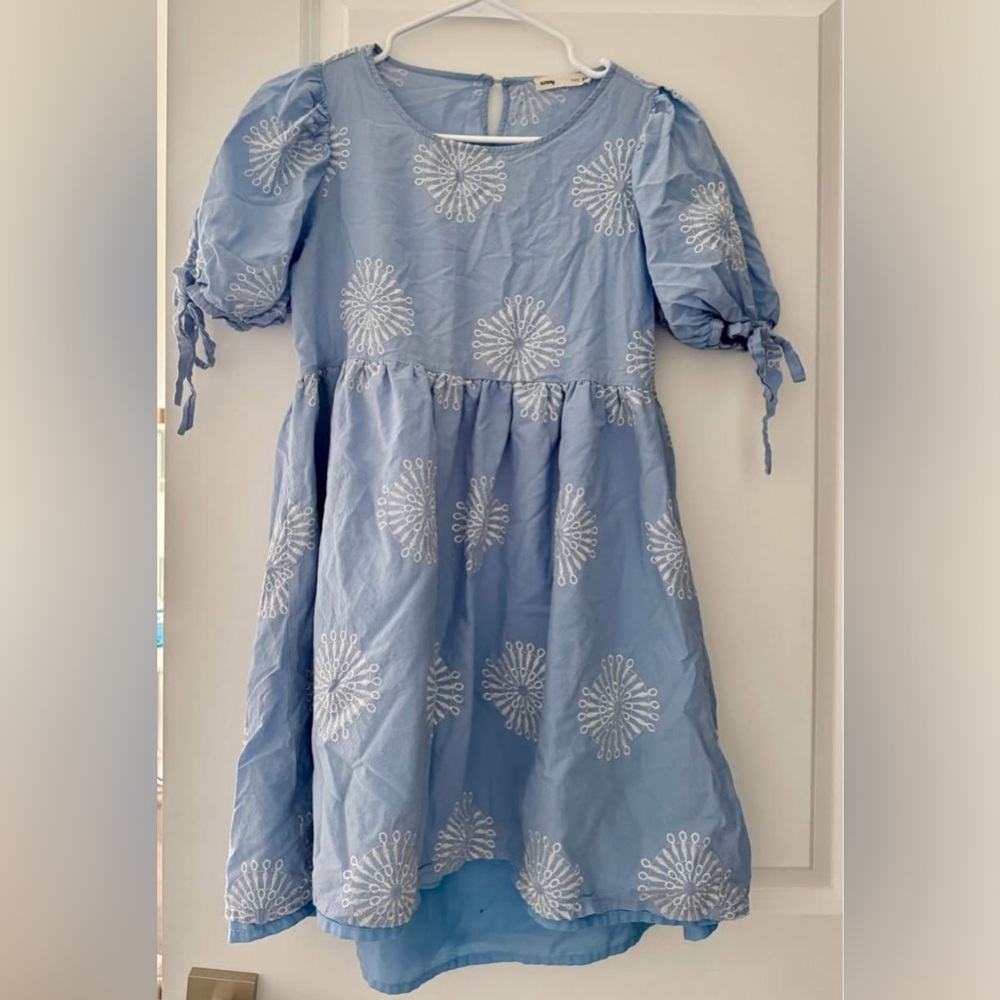 Blue Dress with White Embroidery